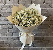 Букет цветов из:  Ромашки #REPLACE_PRED# Новосемейкино