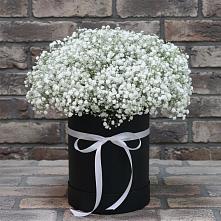 Цветочная композиция из Гипсофила в шляпной коробке #REPLACE_PRED# Новосемейкино